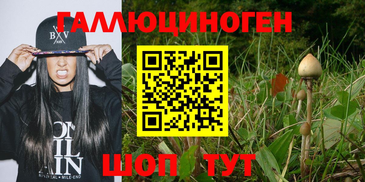 Ессентуки  Псилоцибиновые грибы прущие грибы  Псилоцибиновые грибы MAGIC MUSHROOMS  Вход с VPN 