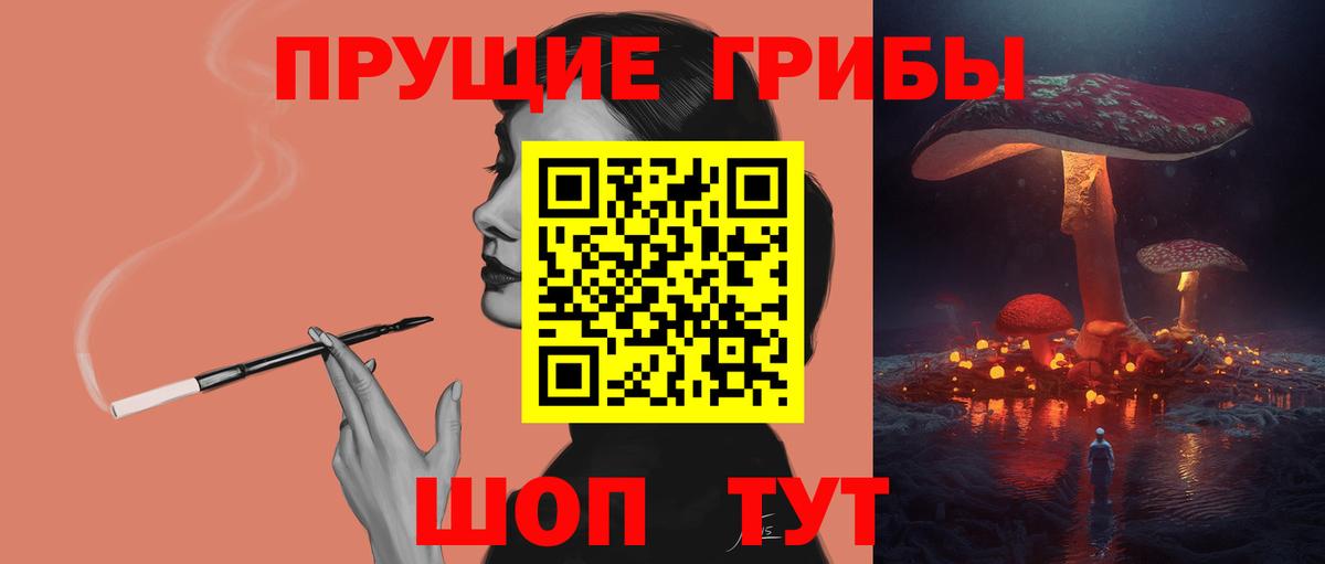 Галлюциногенные грибы Psilocybe Ессентуки